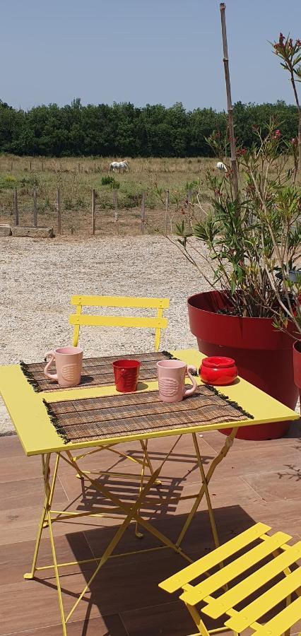 Bed and Breakfast Les Bonbonnettes Le Cailar Zewnętrze zdjęcie