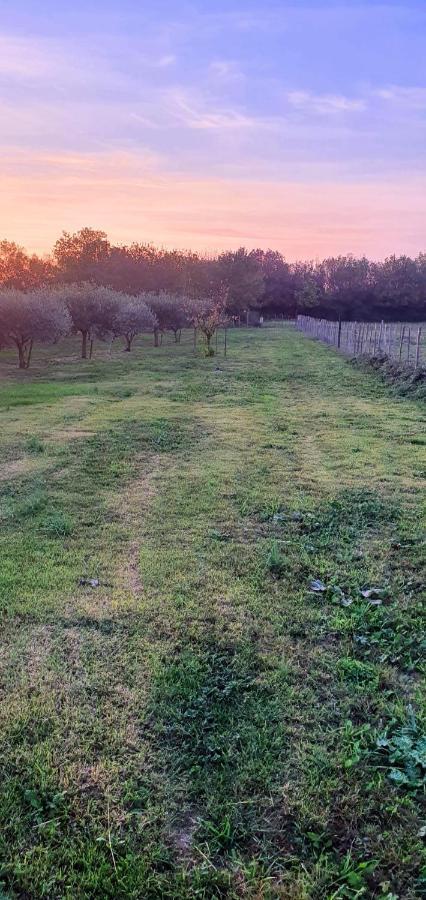 Bed and Breakfast Les Bonbonnettes Le Cailar Zewnętrze zdjęcie